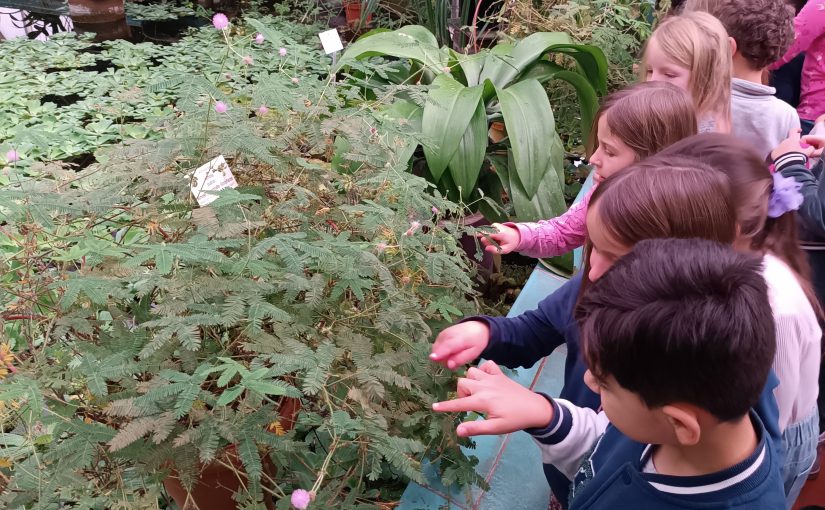 Die “Wale” lernen im Botanischen Garten